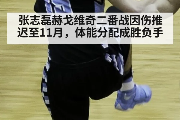 张志磊赫戈维奇二番战因伤推迟至11月，体能分配成胜负手（jiuyou）
