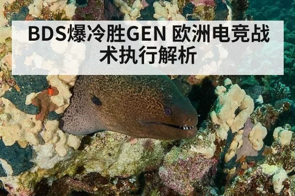 BDS爆冷胜GEN 欧洲电竞战术执行解析