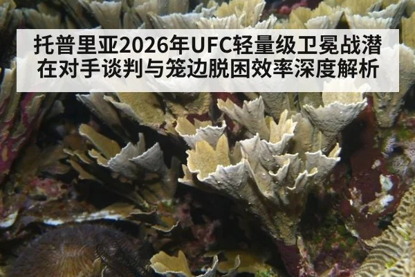 托普里亚2026年UFC轻量级卫冕战潜在对手谈判与笼边脱困效率深度解析
